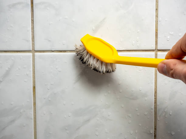 Best Mold Testing  in Keystone Heights, FL