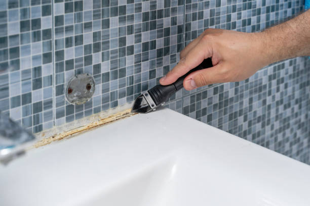Best Mold Removal Company Near Me  in Keystone Heights, FL